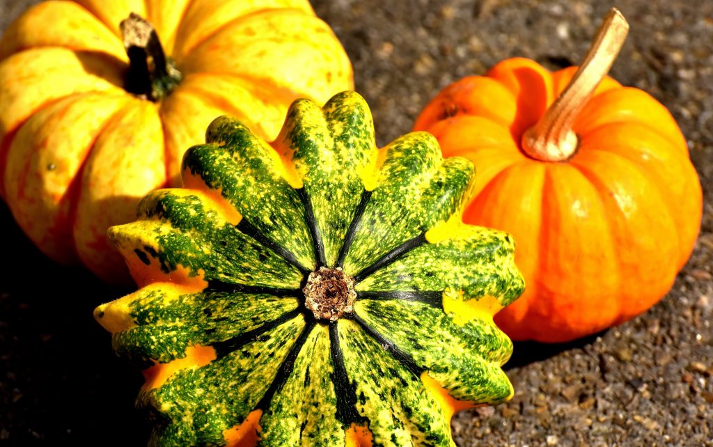 Three pumpkins