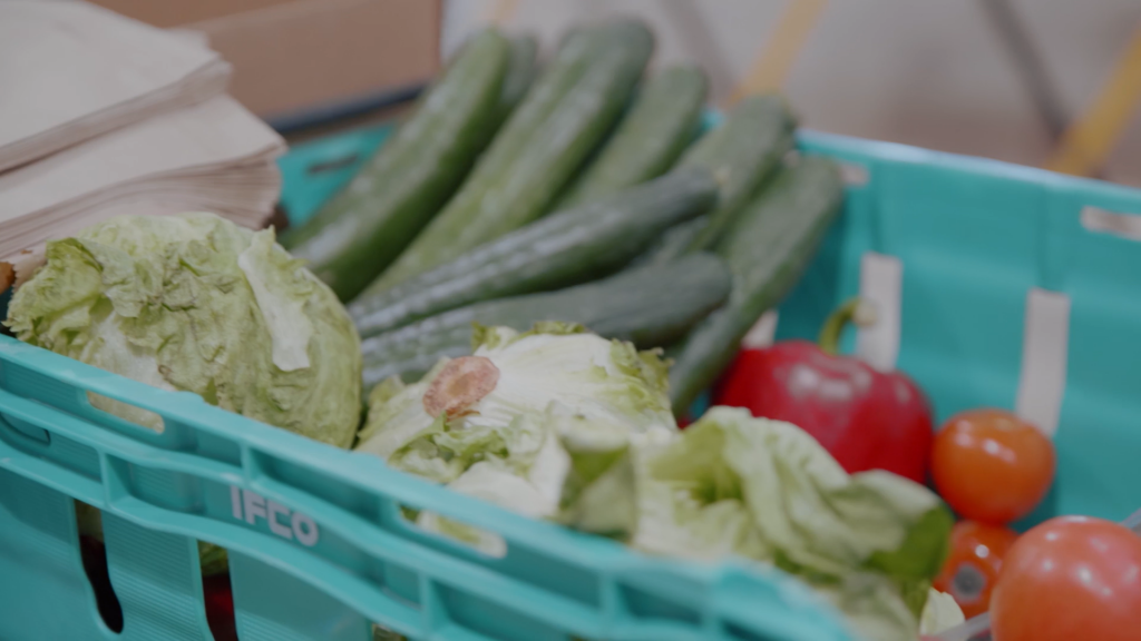 Lettuces, cucumbers, peppers and tomatoes in a crate.